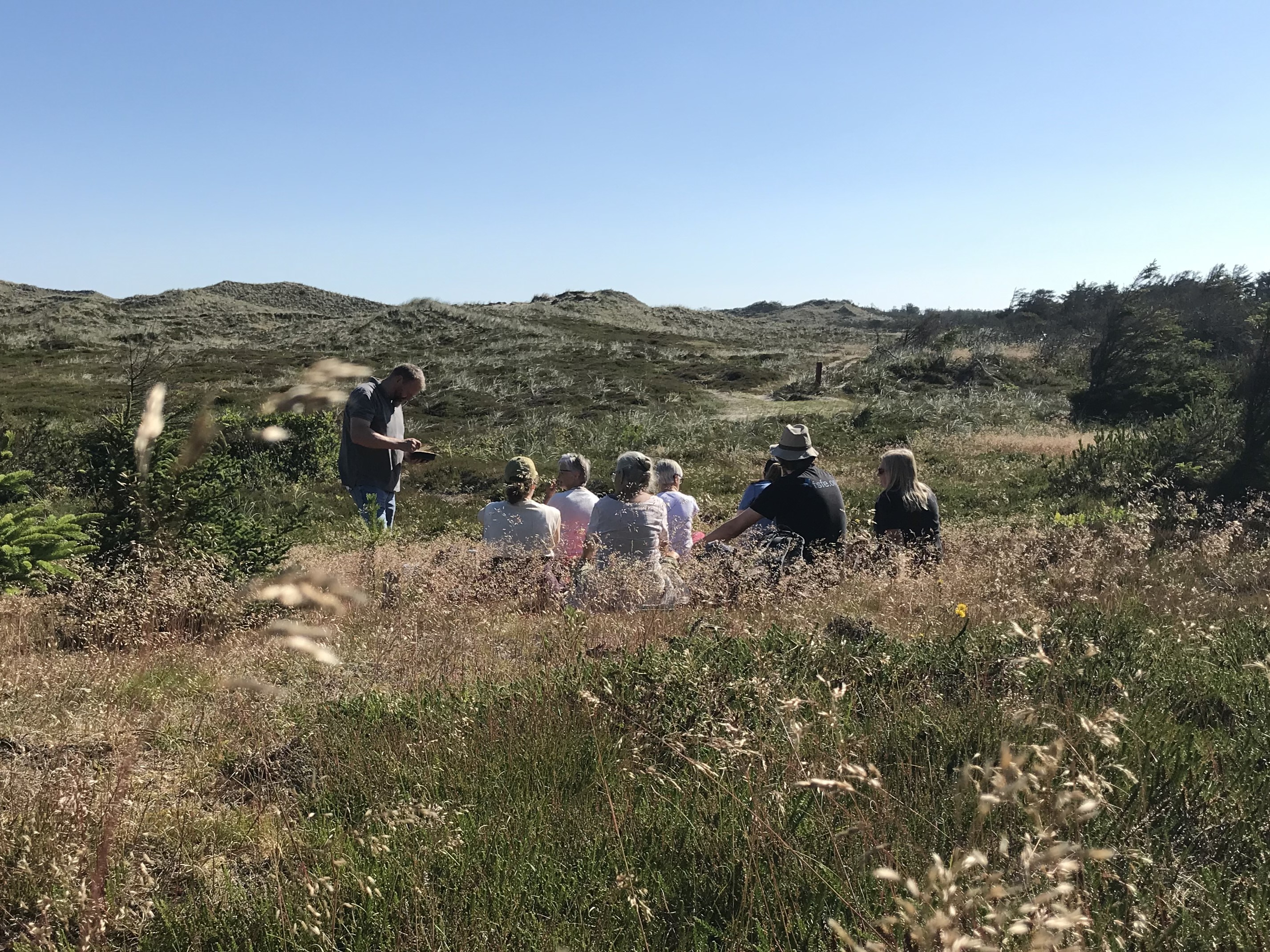 AFLSYT! På tur med en tekst - Vilsbøl Plantage