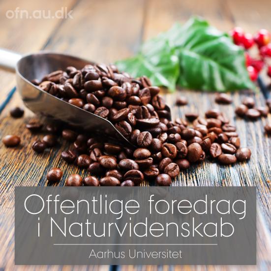 Kaffebønner på træbord