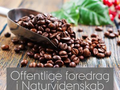 Kaffebønner på træbord