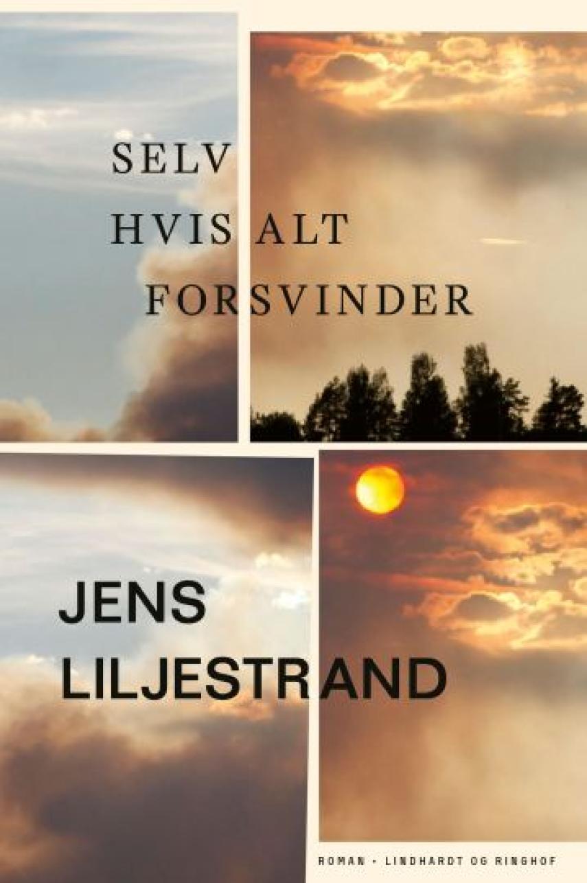 Jens Liljestrand (f. 1974): Selv hvis alt forsvinder